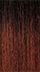 DR2/GINGER BROWN